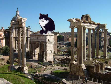 forum