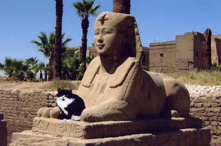 luxor