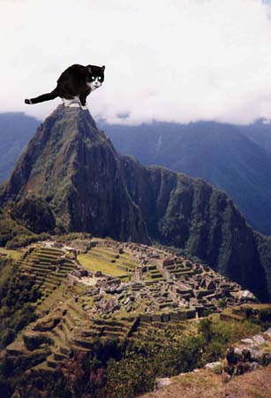 machupicchu