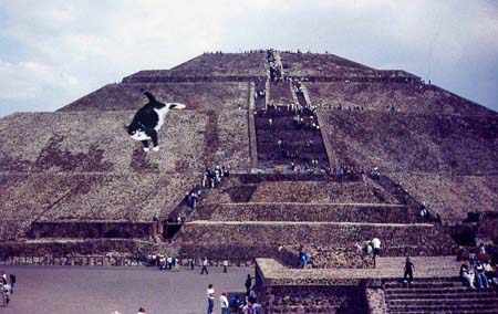 mexico