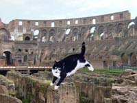 Colosseum, Rome