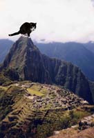 Machupicchu