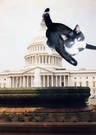 US Capitol