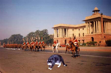 New Delhi
