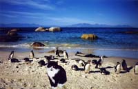South Africa