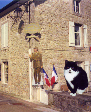 gaulle