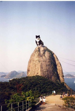 sugarloaf