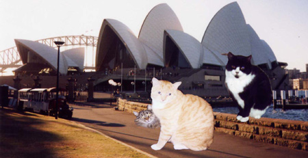 sydney