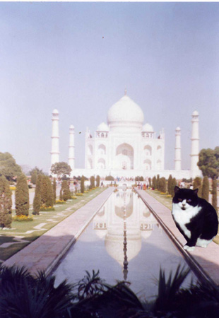 tajmahal
