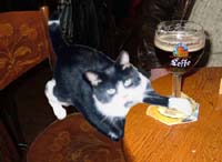 leffe beer