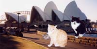 sydney
