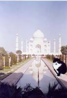 taj mahal