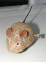 mouse