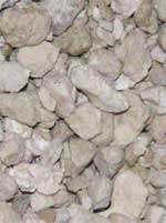cat litter