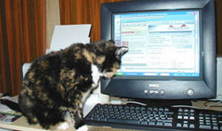 Sally sends email