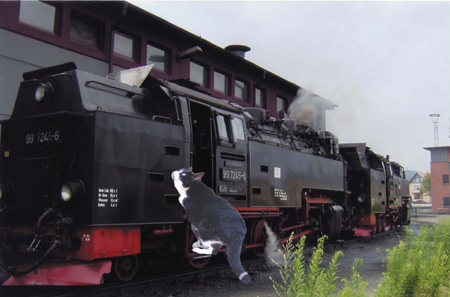Steam train, Germany