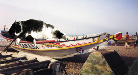 Boat, Senegal