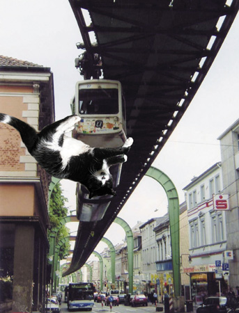 Monorail, Wupperthal